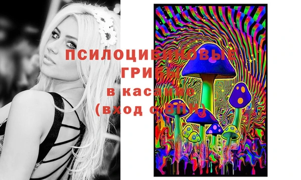 таблы Нефтекумск
