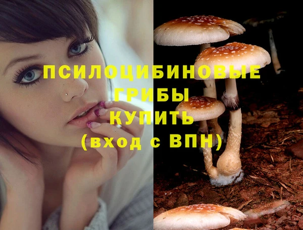таблы Нефтекумск