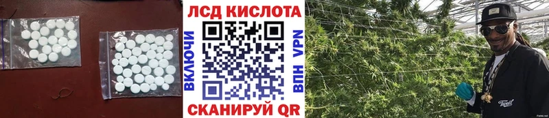 Купить где  Сунжа  LSD-25 экстази ecstasy 