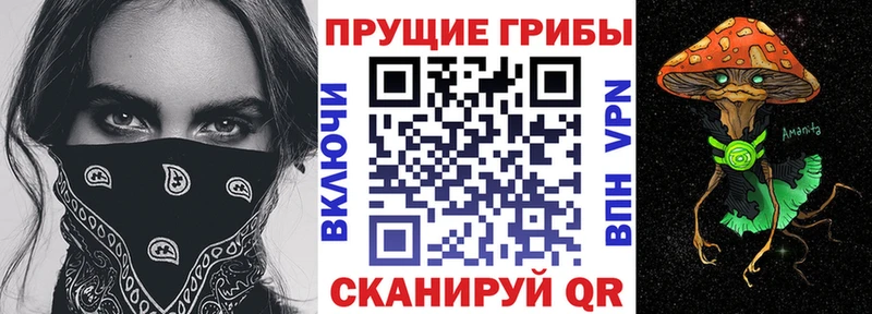 Псилоцибиновые грибы Cubensis Купить закладки Сунжа