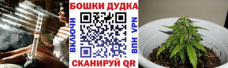Купить  Сунжа  Конопля LSD WEED 